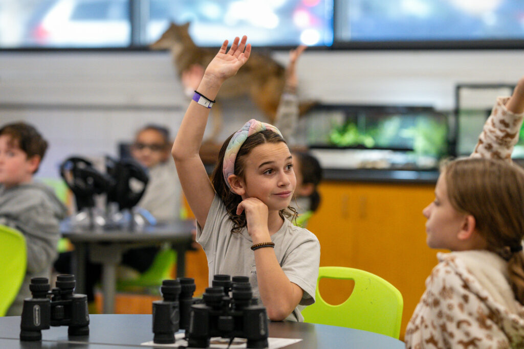 Little girl raising her hand in classroom.